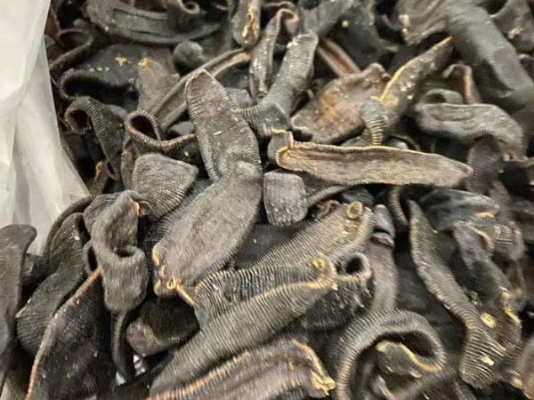 千亿国际官方网站成品