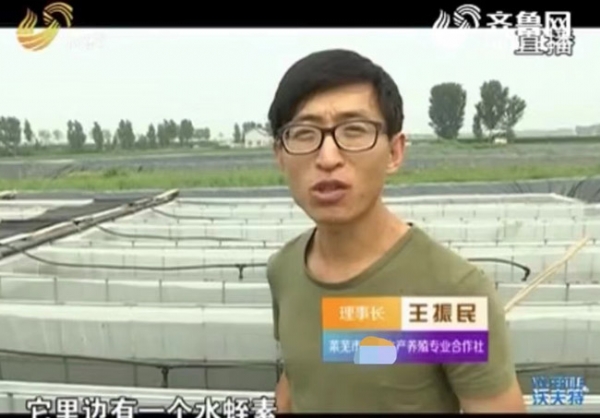 资质荣誉