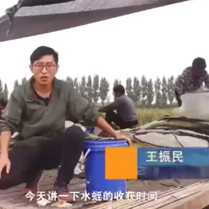 千亿国际官方网站收获时间