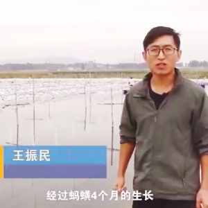 千亿国际官方网站收获流程